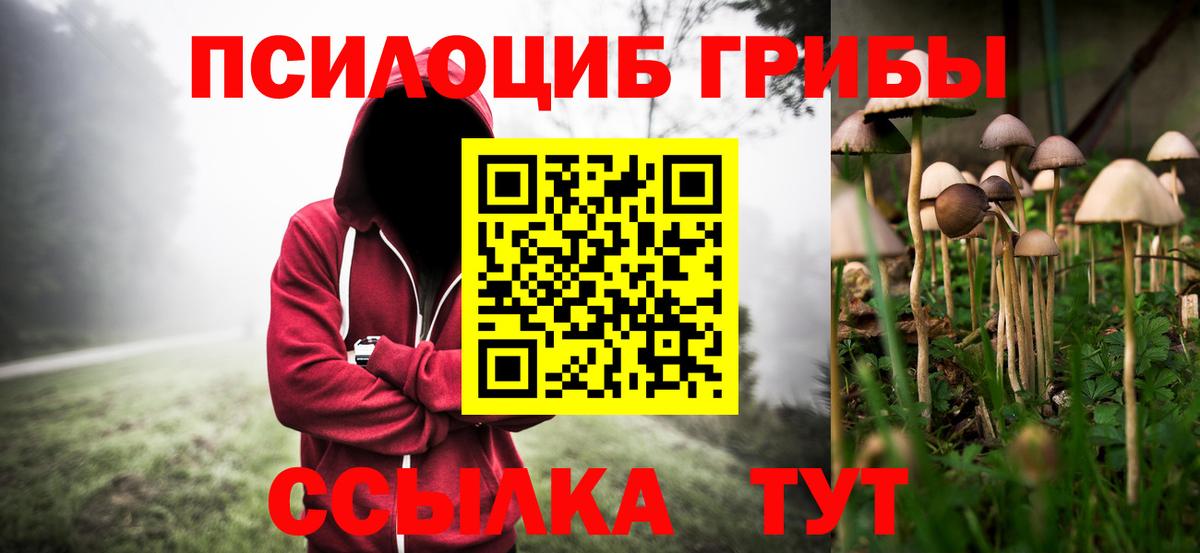 Братск  Псилоцибиновые грибы мухоморы  Вход с VPN 